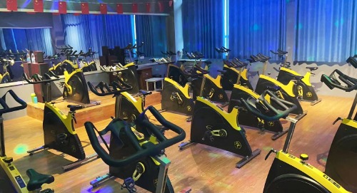 gymone ls 1
