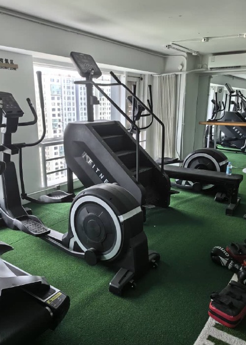 gymone v4