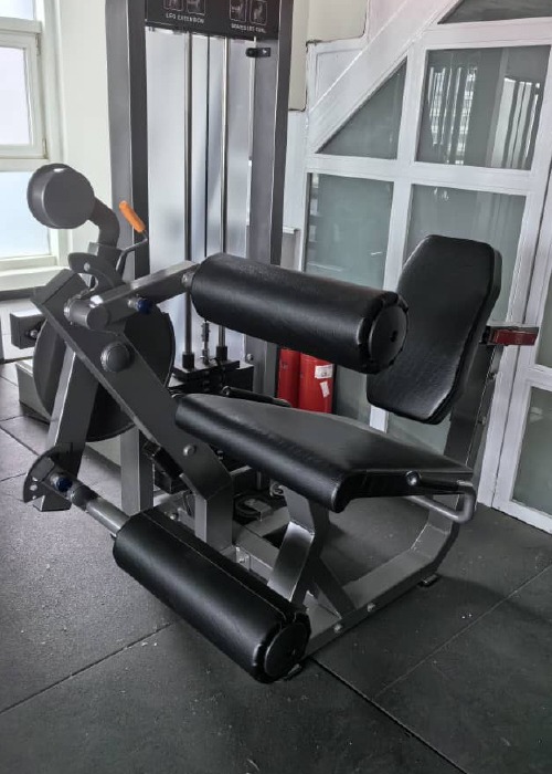 gymone v5